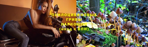 прущая мука Краснослободск