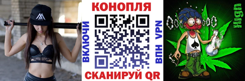 Бошки марихуана OG Kush  kraken зеркало  Хадыженск 